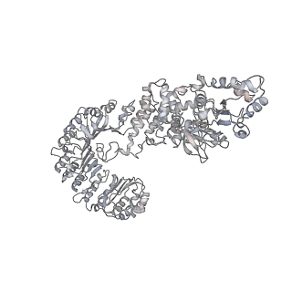 6458_3jbl_K_v1-2
Cryo-EM Structure of the Activated NAIP2/NLRC4 Inflammasome Reveals Nucleated Polymerization
