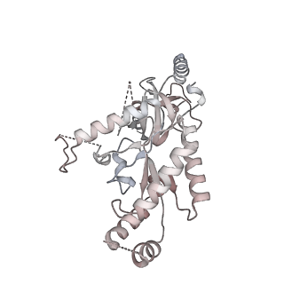 6475_3jbr_B_v1-2
Cryo-EM structure of the rabbit voltage-gated calcium channel Cav1.1 complex at 4.2 angstrom