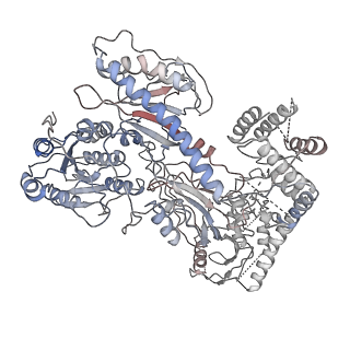6475_3jbr_F_v1-2
Cryo-EM structure of the rabbit voltage-gated calcium channel Cav1.1 complex at 4.2 angstrom