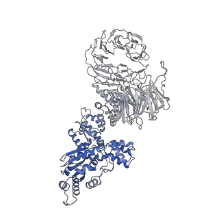 6480_3jbt_A_v1-3
Atomic structure of the Apaf-1 apoptosome