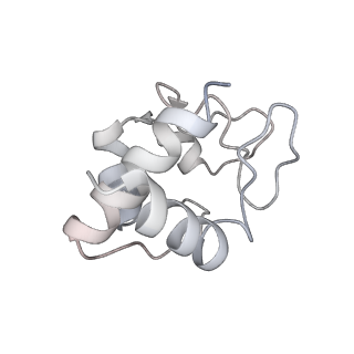 6480_3jbt_B_v1-3
Atomic structure of the Apaf-1 apoptosome