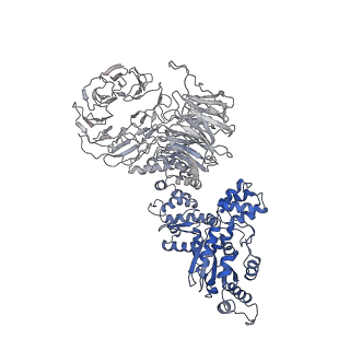 6480_3jbt_C_v1-3
Atomic structure of the Apaf-1 apoptosome