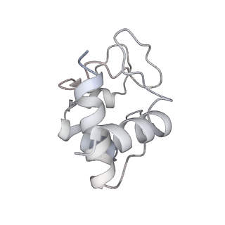 6480_3jbt_D_v1-3
Atomic structure of the Apaf-1 apoptosome