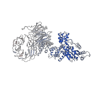 6480_3jbt_E_v1-3
Atomic structure of the Apaf-1 apoptosome