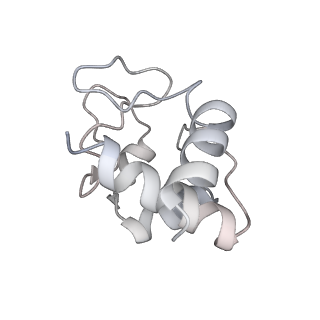6480_3jbt_F_v1-3
Atomic structure of the Apaf-1 apoptosome