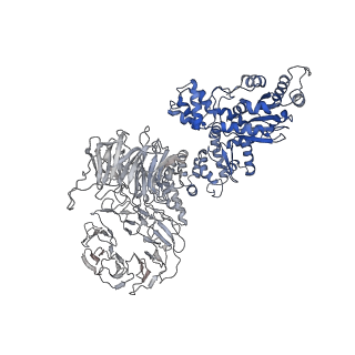 6480_3jbt_G_v1-3
Atomic structure of the Apaf-1 apoptosome