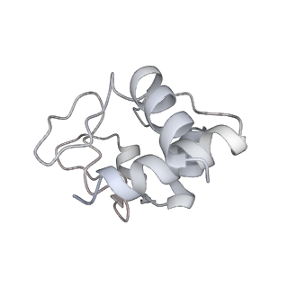 6480_3jbt_H_v1-3
Atomic structure of the Apaf-1 apoptosome