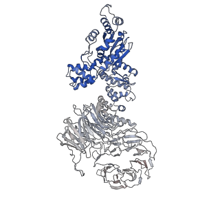 6480_3jbt_I_v1-3
Atomic structure of the Apaf-1 apoptosome