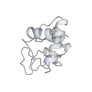 6480_3jbt_J_v1-3
Atomic structure of the Apaf-1 apoptosome