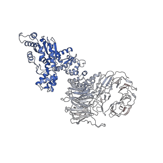 6480_3jbt_K_v1-3
Atomic structure of the Apaf-1 apoptosome