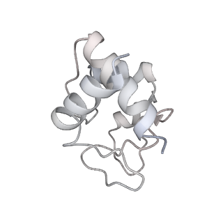 6480_3jbt_L_v1-3
Atomic structure of the Apaf-1 apoptosome