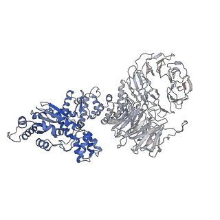 6480_3jbt_M_v1-3
Atomic structure of the Apaf-1 apoptosome
