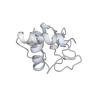 6480_3jbt_N_v1-3
Atomic structure of the Apaf-1 apoptosome