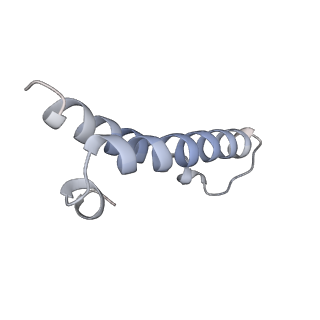 6483_3jbu_1_v1-5
Mechanisms of Ribosome Stalling by SecM at Multiple Elongation Steps