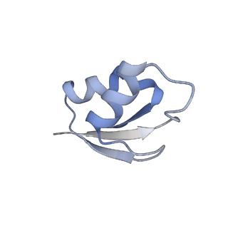 6483_3jbu_2_v1-4
Mechanisms of Ribosome Stalling by SecM at Multiple Elongation Steps