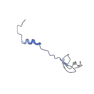 6483_3jbu_3_v1-4
Mechanisms of Ribosome Stalling by SecM at Multiple Elongation Steps