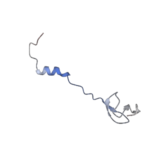 6483_3jbu_3_v1-5
Mechanisms of Ribosome Stalling by SecM at Multiple Elongation Steps