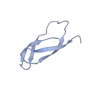 6483_3jbu_4_v1-4
Mechanisms of Ribosome Stalling by SecM at Multiple Elongation Steps