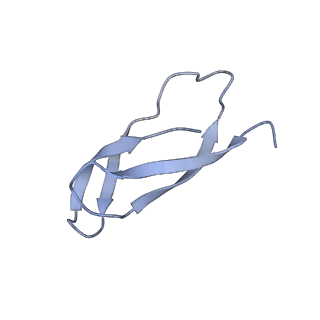 6483_3jbu_4_v1-5
Mechanisms of Ribosome Stalling by SecM at Multiple Elongation Steps