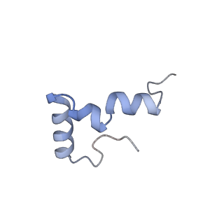 6483_3jbu_6_v1-4
Mechanisms of Ribosome Stalling by SecM at Multiple Elongation Steps