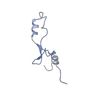 6483_3jbu_7_v1-4
Mechanisms of Ribosome Stalling by SecM at Multiple Elongation Steps
