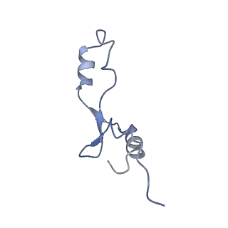 6483_3jbu_7_v1-5
Mechanisms of Ribosome Stalling by SecM at Multiple Elongation Steps