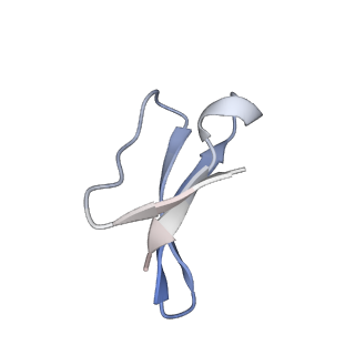 6483_3jbu_8_v1-5
Mechanisms of Ribosome Stalling by SecM at Multiple Elongation Steps