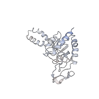 6483_3jbu_B_v1-4
Mechanisms of Ribosome Stalling by SecM at Multiple Elongation Steps