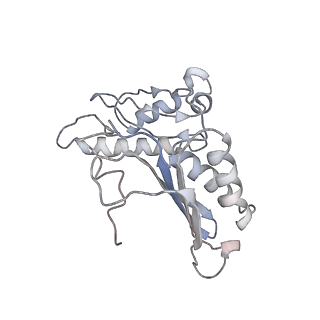 6483_3jbu_C_v1-4
Mechanisms of Ribosome Stalling by SecM at Multiple Elongation Steps