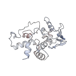 6483_3jbu_D_v1-4
Mechanisms of Ribosome Stalling by SecM at Multiple Elongation Steps