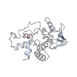 6483_3jbu_D_v1-5
Mechanisms of Ribosome Stalling by SecM at Multiple Elongation Steps