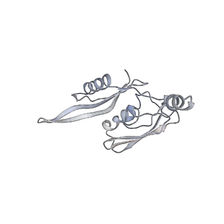 6483_3jbu_E_v1-5
Mechanisms of Ribosome Stalling by SecM at Multiple Elongation Steps