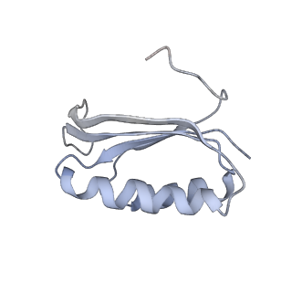 6483_3jbu_F_v1-4
Mechanisms of Ribosome Stalling by SecM at Multiple Elongation Steps