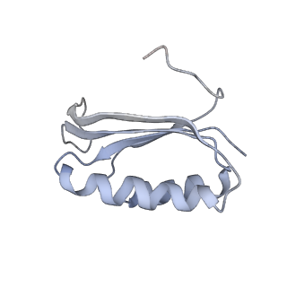 6483_3jbu_F_v1-5
Mechanisms of Ribosome Stalling by SecM at Multiple Elongation Steps