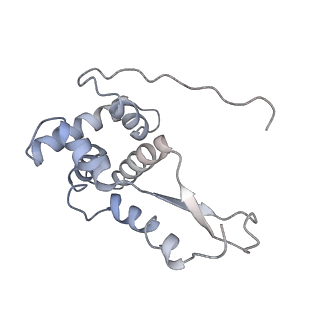6483_3jbu_G_v1-4
Mechanisms of Ribosome Stalling by SecM at Multiple Elongation Steps