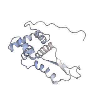 6483_3jbu_G_v1-5
Mechanisms of Ribosome Stalling by SecM at Multiple Elongation Steps