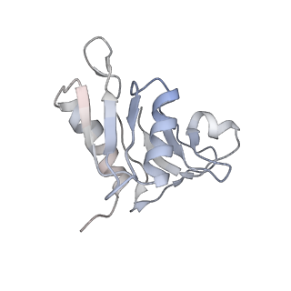 6483_3jbu_H_v1-4
Mechanisms of Ribosome Stalling by SecM at Multiple Elongation Steps