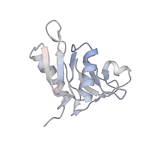 6483_3jbu_H_v1-5
Mechanisms of Ribosome Stalling by SecM at Multiple Elongation Steps