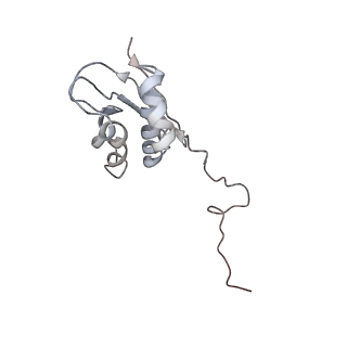 6483_3jbu_I_v1-5
Mechanisms of Ribosome Stalling by SecM at Multiple Elongation Steps