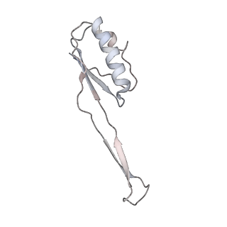 6483_3jbu_J_v1-5
Mechanisms of Ribosome Stalling by SecM at Multiple Elongation Steps