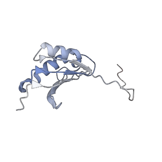 6483_3jbu_K_v1-4
Mechanisms of Ribosome Stalling by SecM at Multiple Elongation Steps