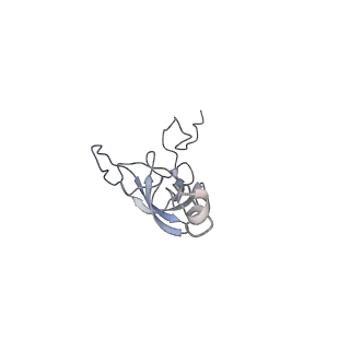 6483_3jbu_L_v1-5
Mechanisms of Ribosome Stalling by SecM at Multiple Elongation Steps