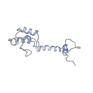 6483_3jbu_M_v1-4
Mechanisms of Ribosome Stalling by SecM at Multiple Elongation Steps