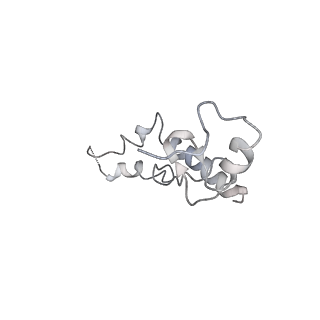 6483_3jbu_N_v1-4
Mechanisms of Ribosome Stalling by SecM at Multiple Elongation Steps