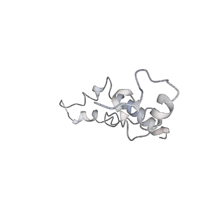 6483_3jbu_N_v1-5
Mechanisms of Ribosome Stalling by SecM at Multiple Elongation Steps