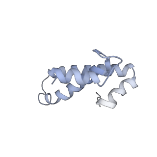 6483_3jbu_O_v1-4
Mechanisms of Ribosome Stalling by SecM at Multiple Elongation Steps