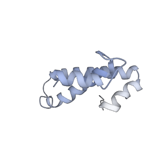 6483_3jbu_O_v1-5
Mechanisms of Ribosome Stalling by SecM at Multiple Elongation Steps