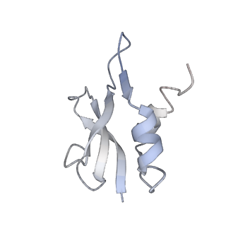 6483_3jbu_P_v1-4
Mechanisms of Ribosome Stalling by SecM at Multiple Elongation Steps