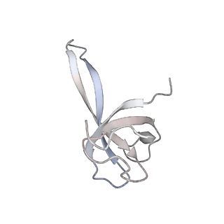 6483_3jbu_Q_v1-5
Mechanisms of Ribosome Stalling by SecM at Multiple Elongation Steps