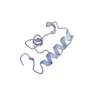 6483_3jbu_R_v1-4
Mechanisms of Ribosome Stalling by SecM at Multiple Elongation Steps
